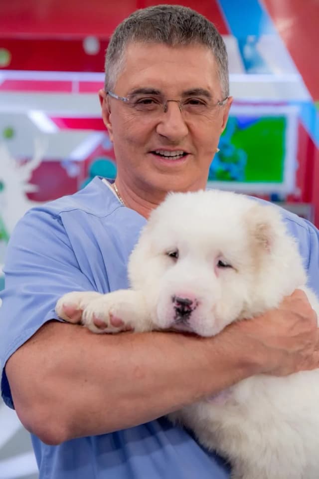 ДОКТОР МЯСНИКОВ (настоящий😁)