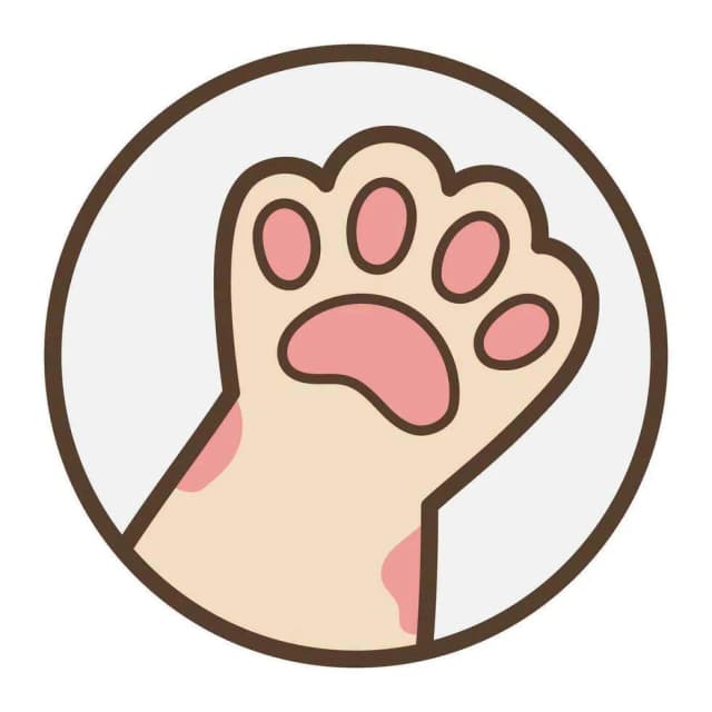 Лапки в Кадре