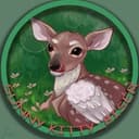 🥀sunny kitty_biser🦌
