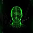neo.usd