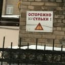 котически