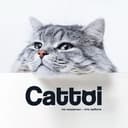 Cattoi