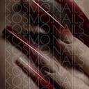 kosmo.nails.rzn
