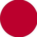 Nihonshi Daily