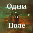 Одни в Поле