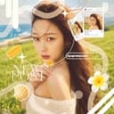 K-pop||news🌺🪷