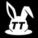 tt team
