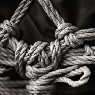 afnseva_shibari☯️