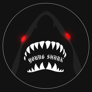 YOUNG SHARK