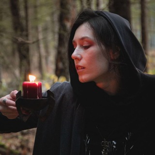 Алиенум. Волчица и Таро🍃