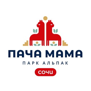 Парк альпак ПАЧА МАМА Сочи Роза Хутор