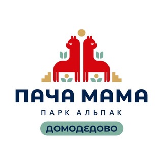 Парк альпак ПАЧА МАМА Домодедово Москва
