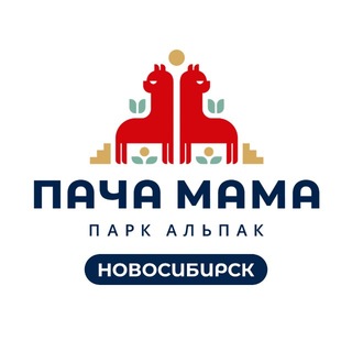Парк альпак ПАЧА МАМА Новосибирск