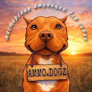 AMMO.DOGZ | Амуниция для собак