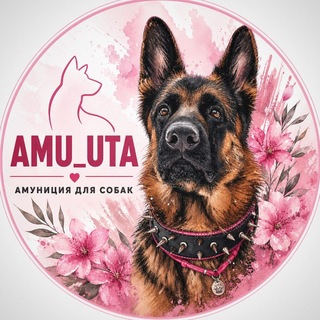 𝗔𝗠𝗨_𝗨𝗧𝗔🌸