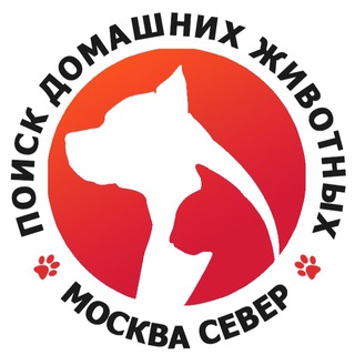 САО Мск | Поиск домашних животных