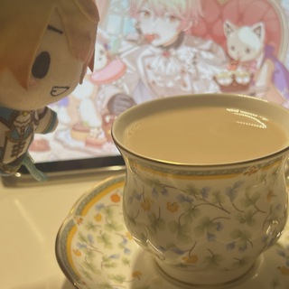 anri merch