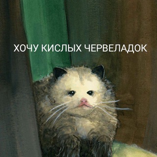 ✨ArgatLive😎✨