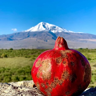 Армянский национальный канал🍇