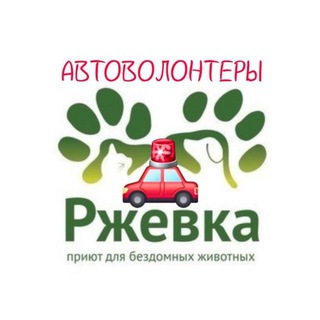 Автоволонтеры приюта «Ржевка»