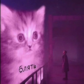 ✧.⋆Апрельские сплетни⋆.✧