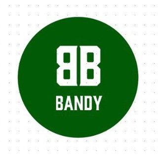 Вечерний Bandy