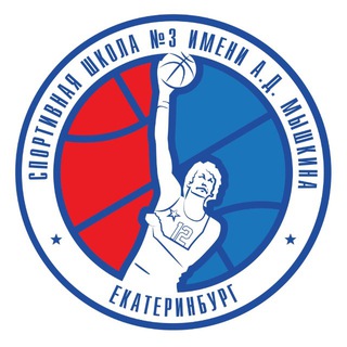 Школа Мышкина