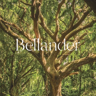 Бьюти сообщество Bellander | Косметология Москва | Остеопатия