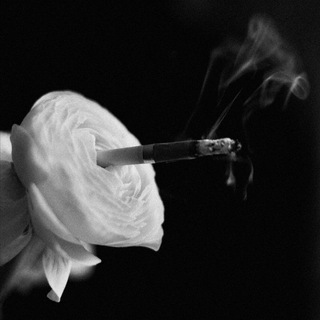 Bellemor Noir