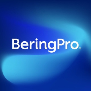 BeringPro | Консалтинг и цифровая трансформация