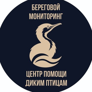 Центр помощи диким птицам. Туапсе