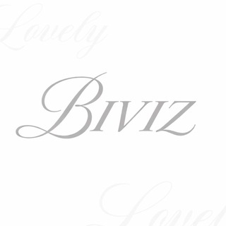 BIVIZ TEAM