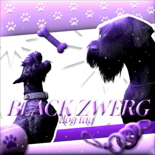 «𝗕𝗹𝗮𝗰𝗸 𝗭𝘄𝗲𝗿𝗴»🐾