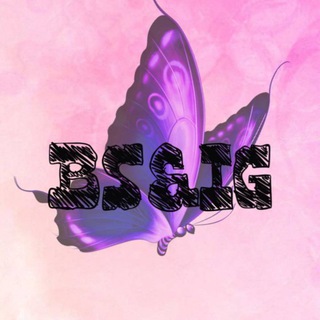 BS&IG