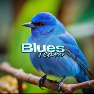 Blues Team
