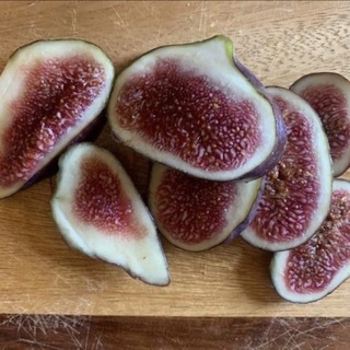 trangladoma
