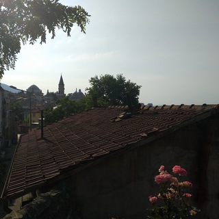 Бурсави