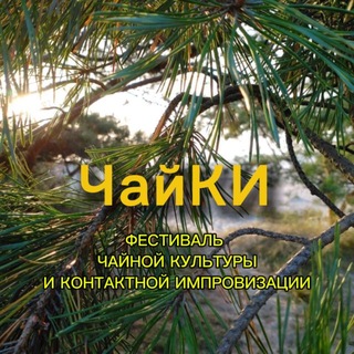 ЧайКИ ChaiCI fest🌊