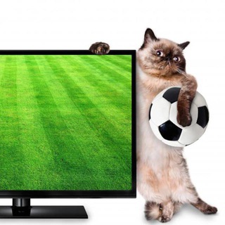 Чемпионат Дамира⚽️🏒