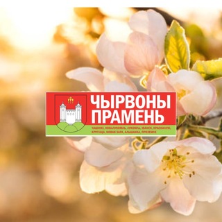 Чашники сейчас