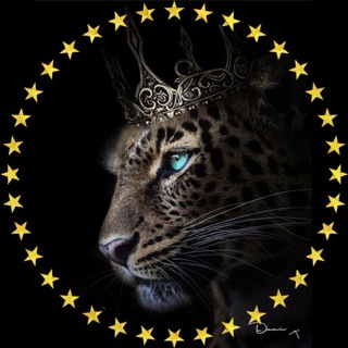 ⚜️Check.Lux⚜️