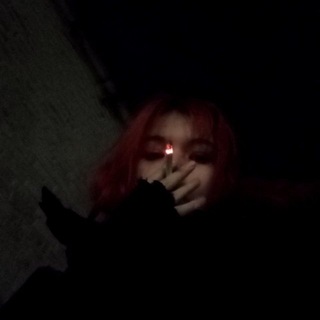 Честер с вишней