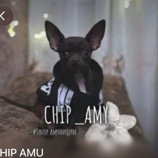 CHIP_AMU