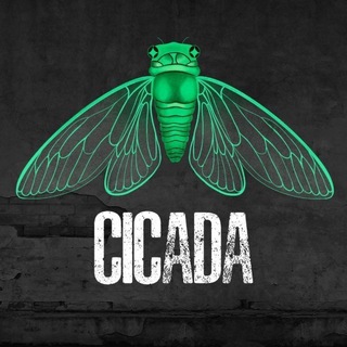 Cicada Group