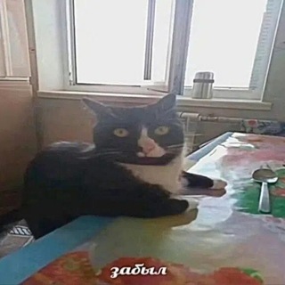 𝐶σm͟͟mׄ𐐼𐑈；≥ 𝗣𝗢𝗥𝗧 '🤍
