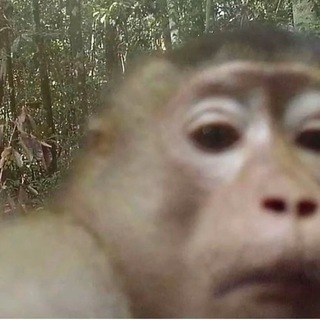 coolvids