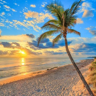 Корал🏝