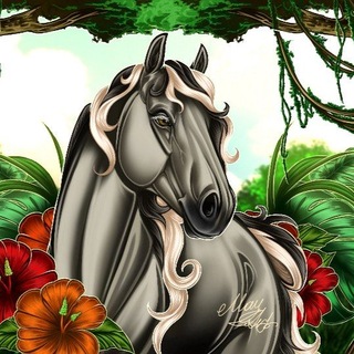 Уют в Star Stable