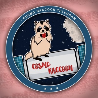 CosmoRaccoon🚀