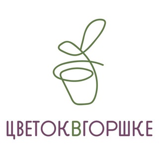 cvetok_v_gorshke_shop